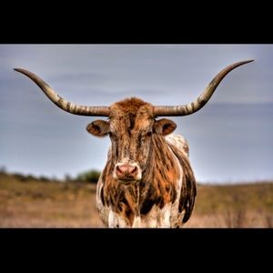 Meet your Posher, Rebekah